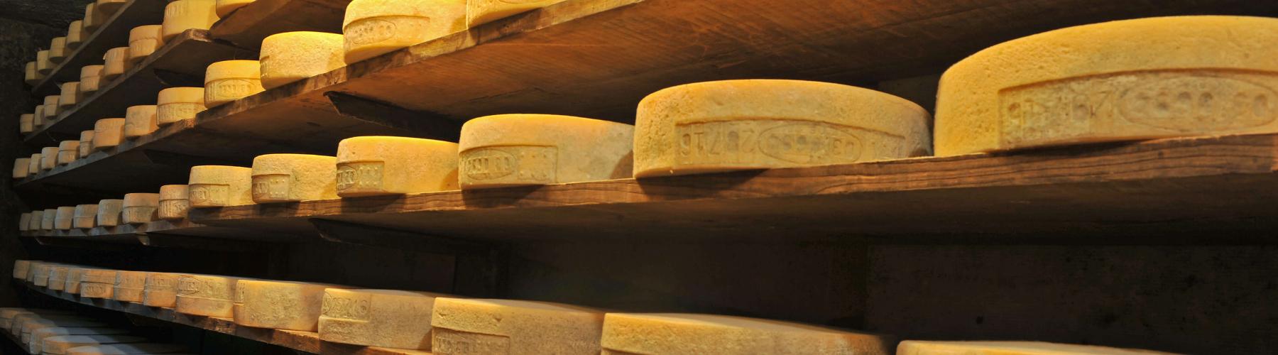 Il Casera valtellinese, un formaggio DOP unico