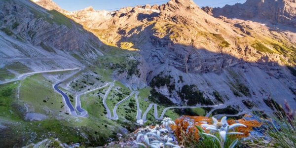 Il Passo dello Stelvio, il gigante alpino entrato nella leggenda