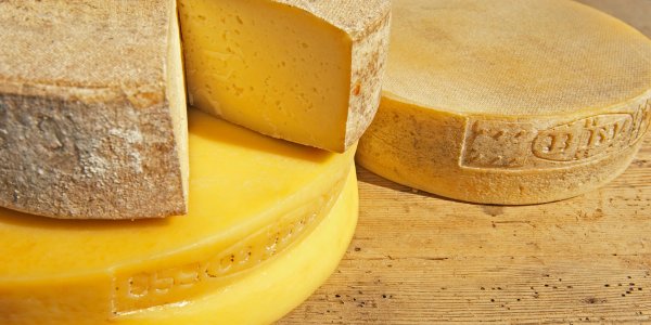 Il Bitto DOP, principe dei formaggi d’alpeggio